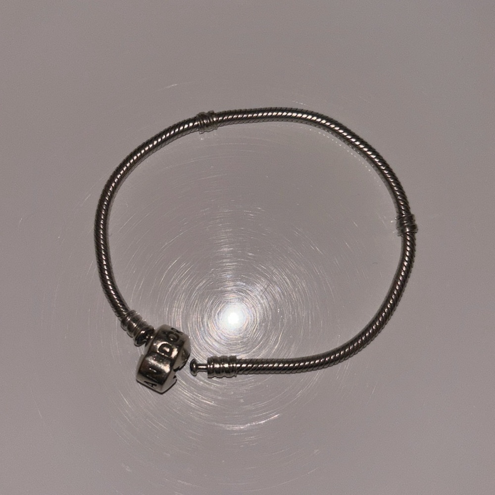 Pandora Bracelet for Charms